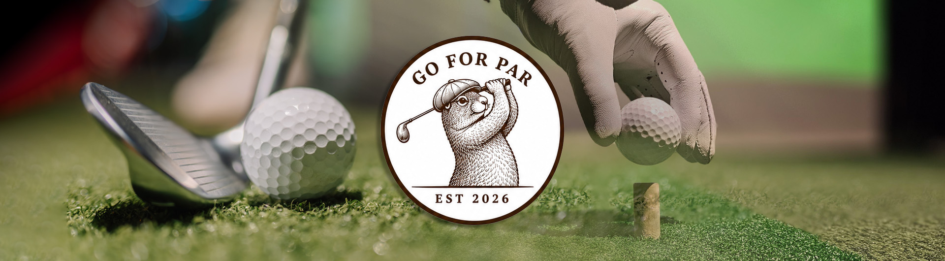 Go For Par Indoor Golfing, Long Island, NY - Image