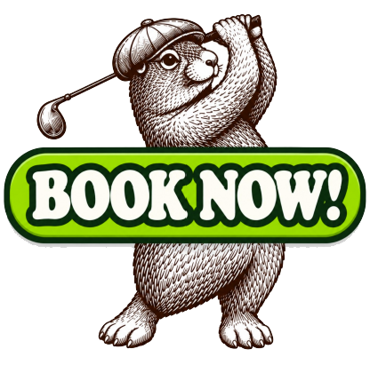 Book Now Button - Image